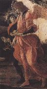Sandro Botticelli Trinity with Mary Magdalene,St john the Baptist,Tobias  and the Angel (mk36) USA oil painting artist